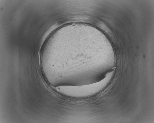 X0000067521275200604281624