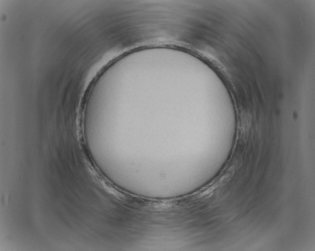 X0000067521278200604281624