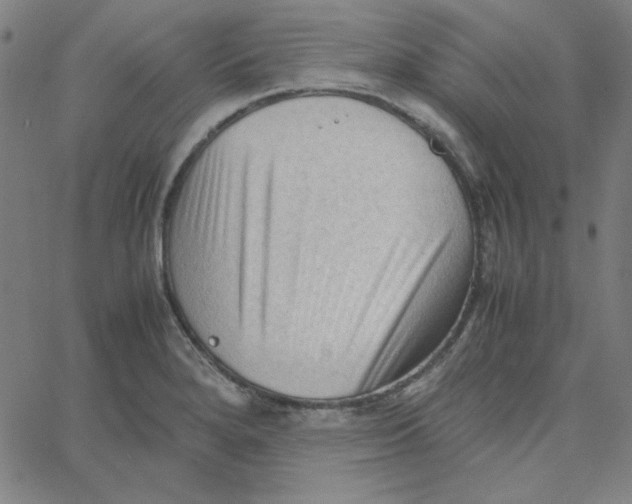 X0000067521280200604281624