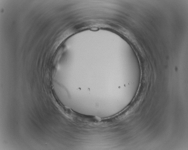 X0000067521281200604281624