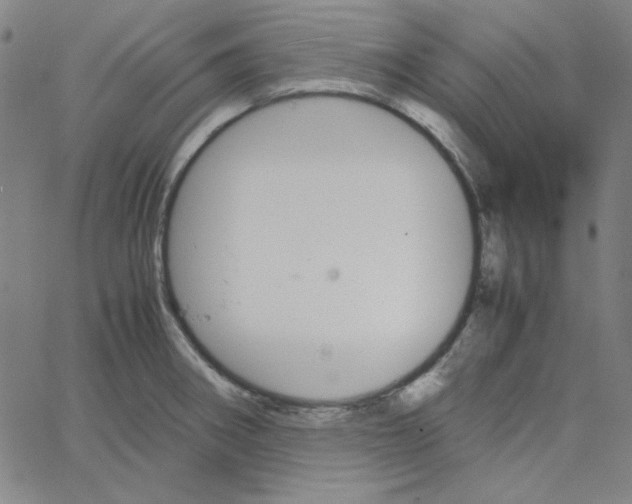 X0000067521282200604281624