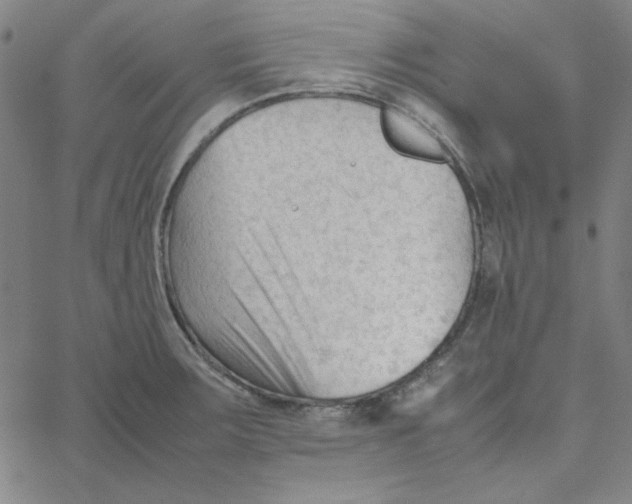 X0000067521283200604281624