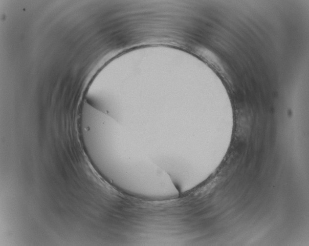 X0000067521284200604281624