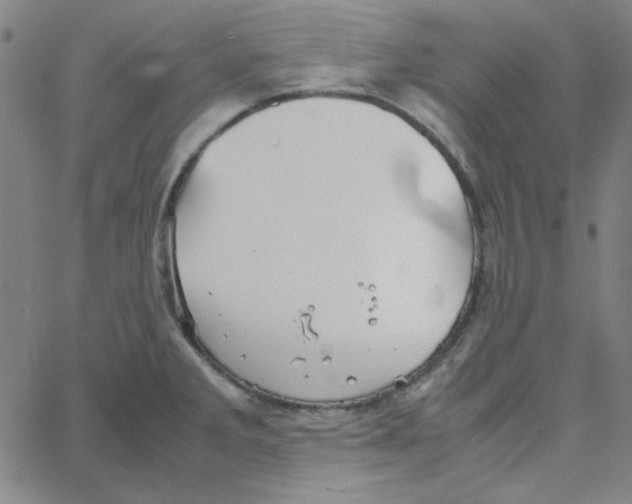 X0000067521285200604281624