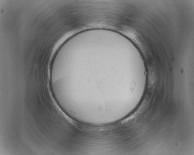 X0000067521286200604281624