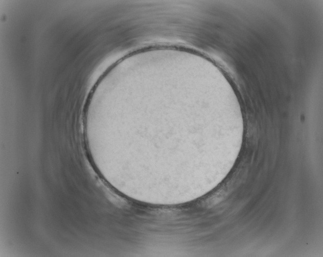 X0000067521287200604281624