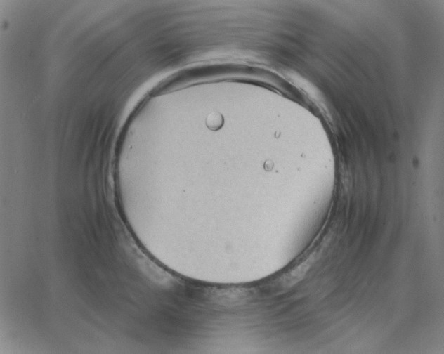 X0000067521288200604281624