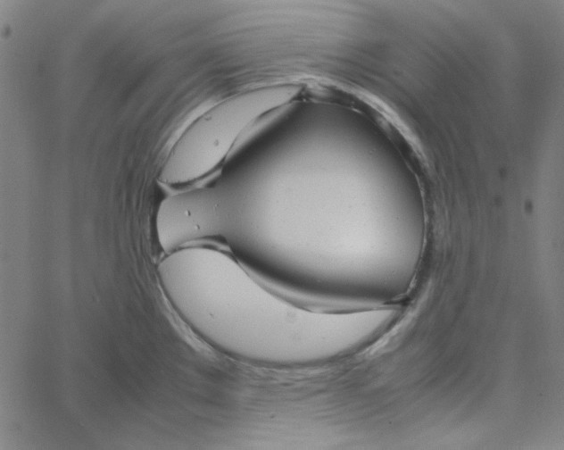 X0000067521289200604281624