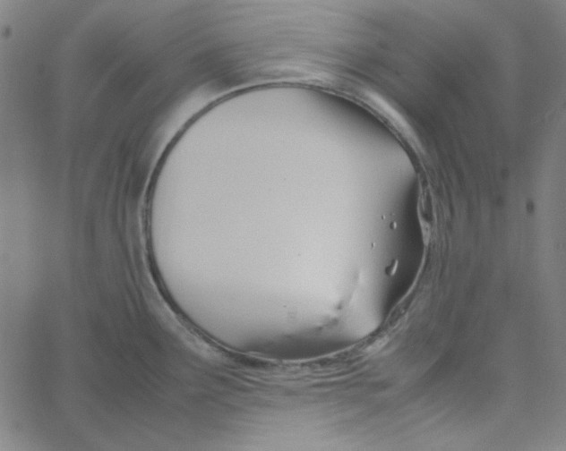 X0000067521291200604281624