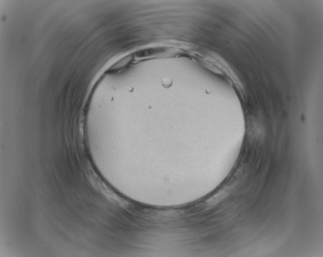 X0000067521292200604281624