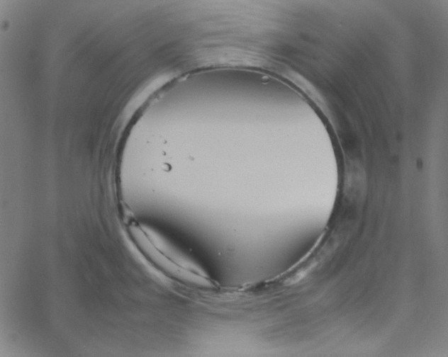 X0000067521293200604281624