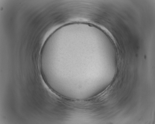 X0000067521295200604281624