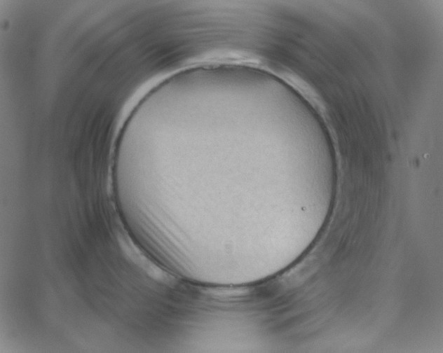 X0000067521296200604281624