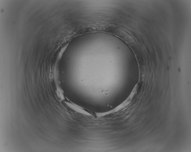 X0000067521298200604281623