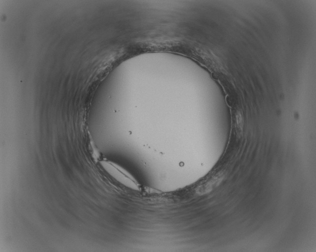 X0000067521300200604281623