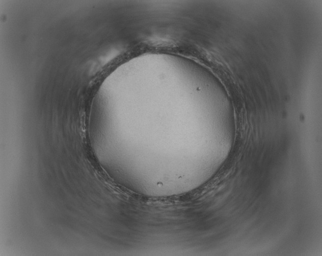 X0000067521301200604281623