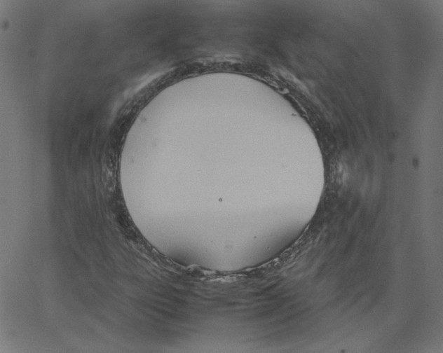 X0000067521303200604281623