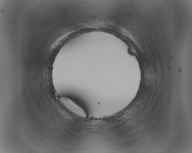 X0000067521304200604281623