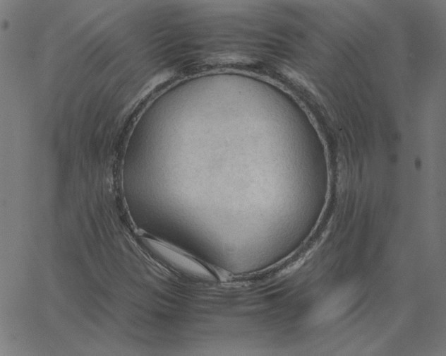 X0000067521305200604281623