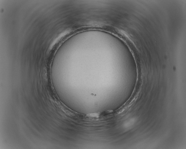 X0000067521307200604281624