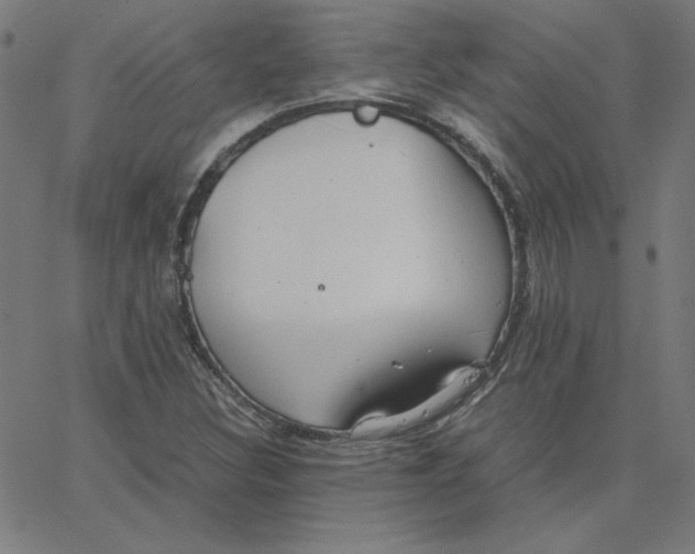 X0000067521308200604281624