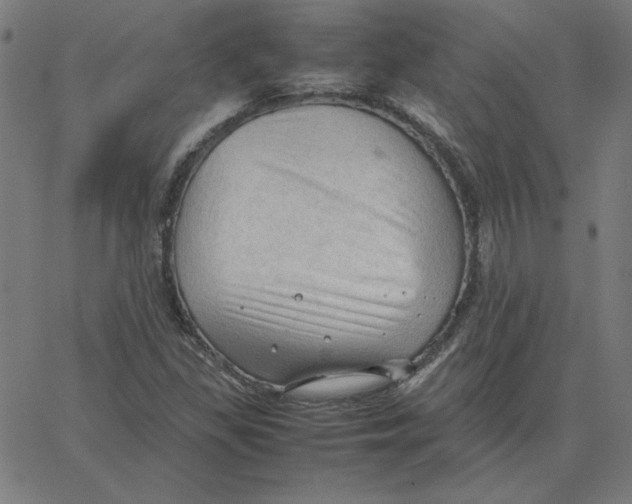 X0000067521309200604281624