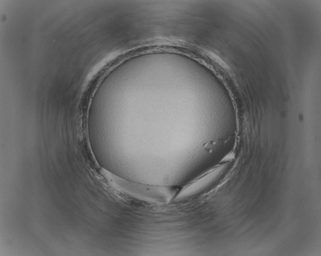 X0000067521310200604281624