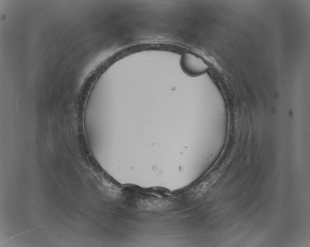 X0000067521311200604281624