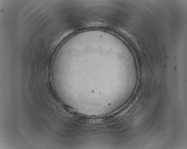 X0000067521313200604281624