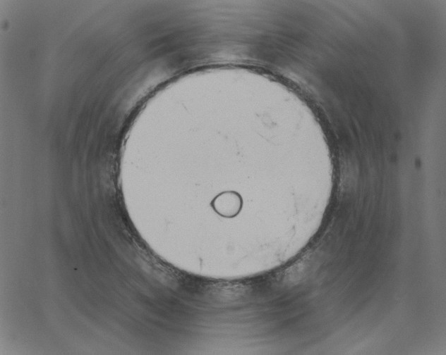 X0000067521314200604281624