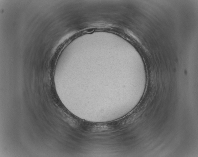 X0000067521315200604281624