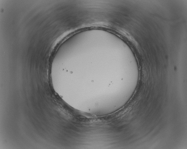 X0000067521316200604281624