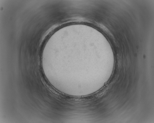 X0000067521318200604281624