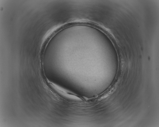 X0000067521319200604281624