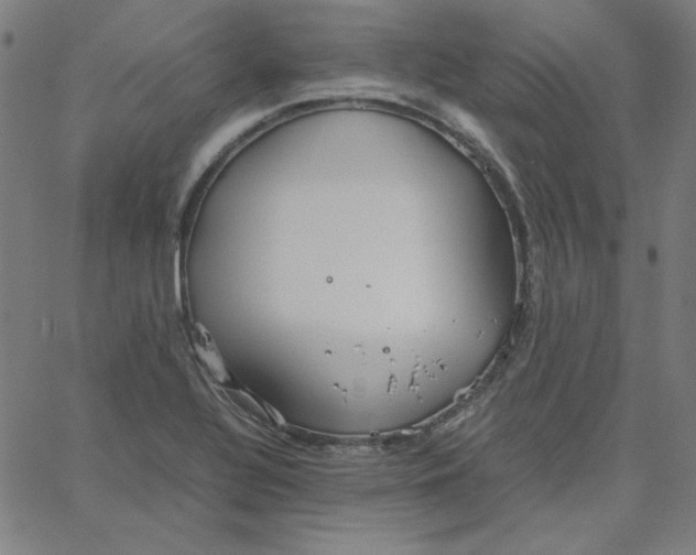 X0000067521320200604281624