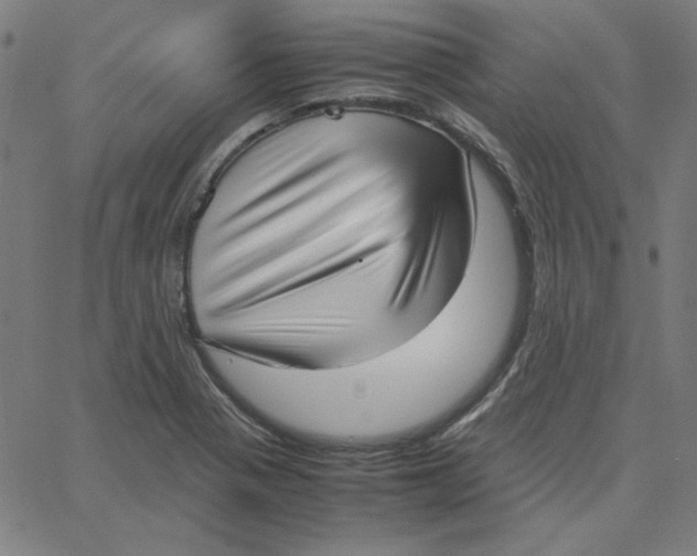 X0000067521321200604281624