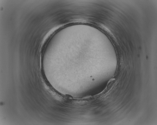 X0000067521323200604281624