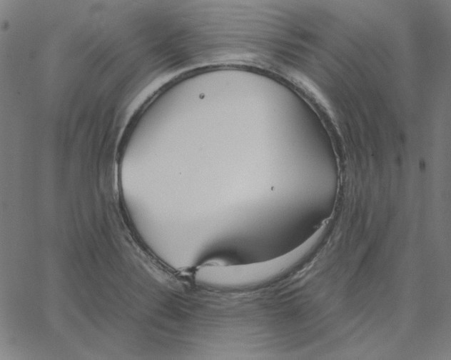 X0000067521324200604281624