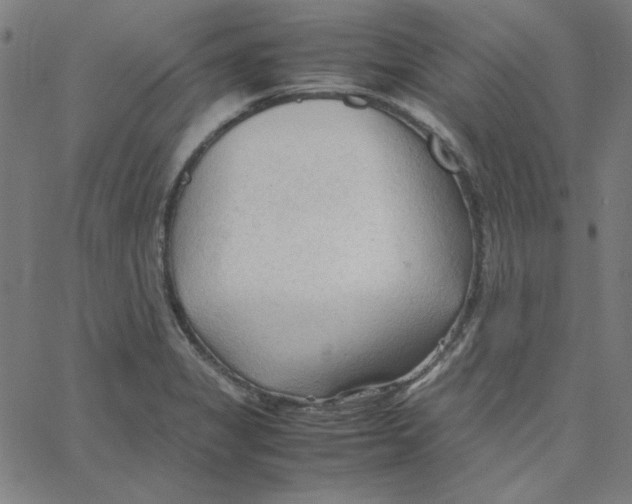 X0000067521325200604281624