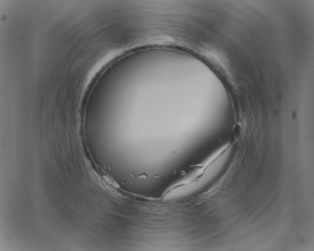 X0000067521326200604281624