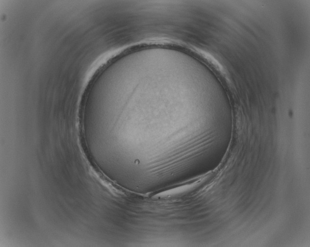 X0000067521327200604281624