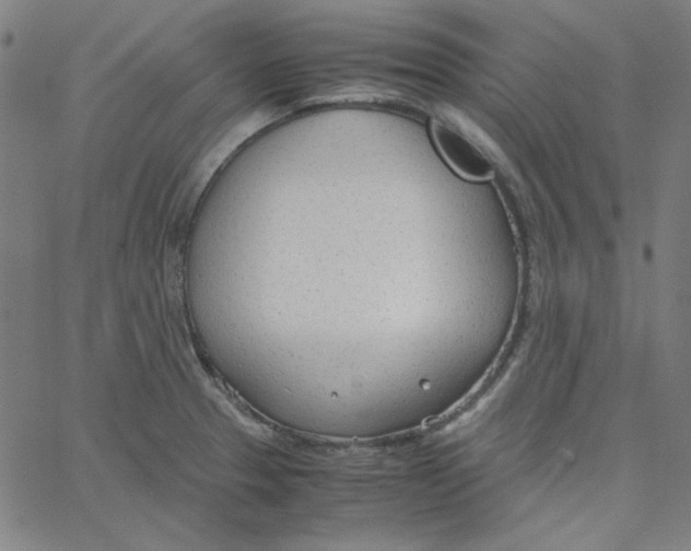 X0000067521329200604281624