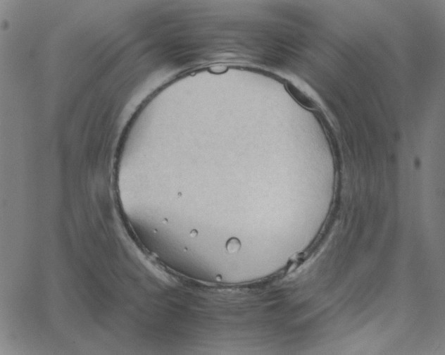 X0000067521333200604281624