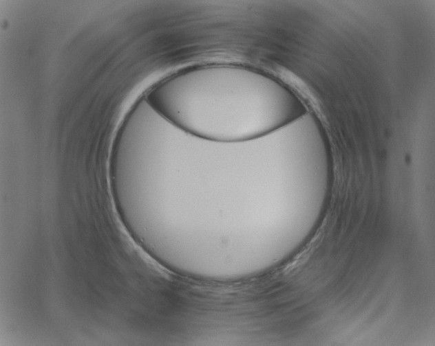 X0000067521334200604281624