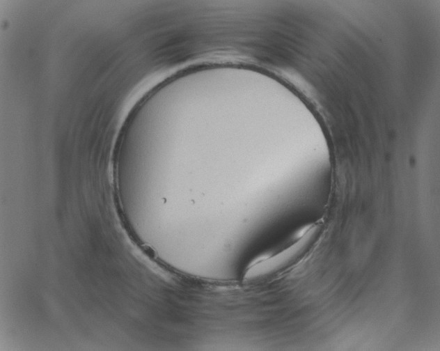 X0000067521335200604281624