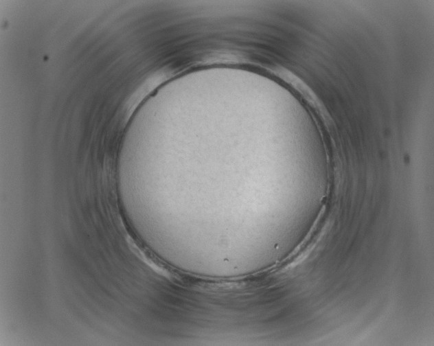 X0000067521337200604281624