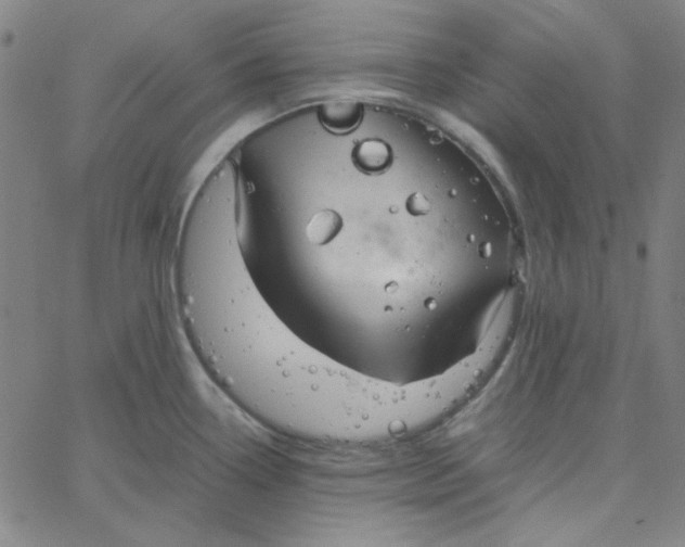 X0000067521338200604281624