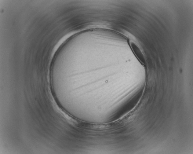 X0000067521339200604281624