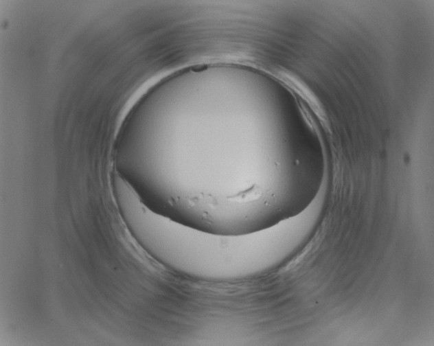 X0000067521340200604281624