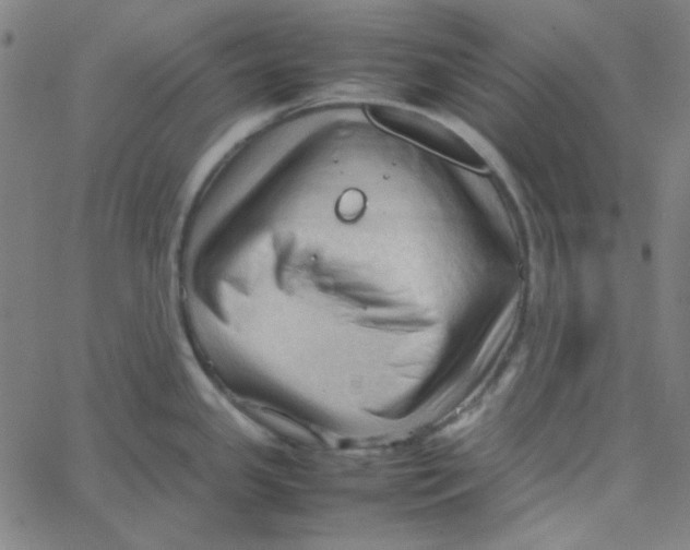 X0000067521341200604281624